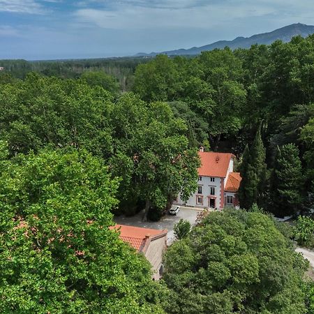 Domaine Castell De Bles Bed & Breakfast Saint-Genis-des-Fontaines Bagian luar foto