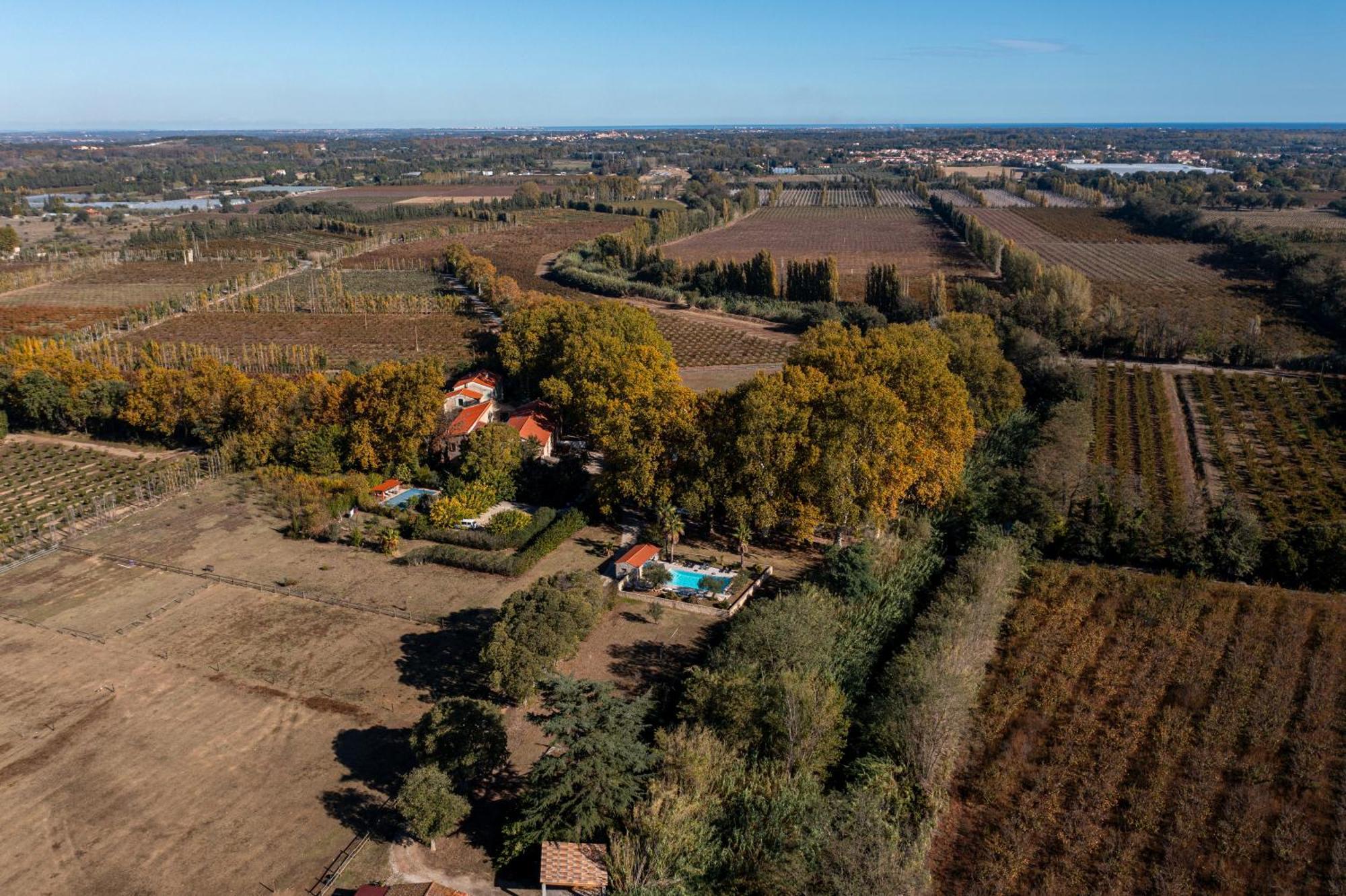Domaine Castell De Bles Bed & Breakfast Saint-Genis-des-Fontaines Bagian luar foto