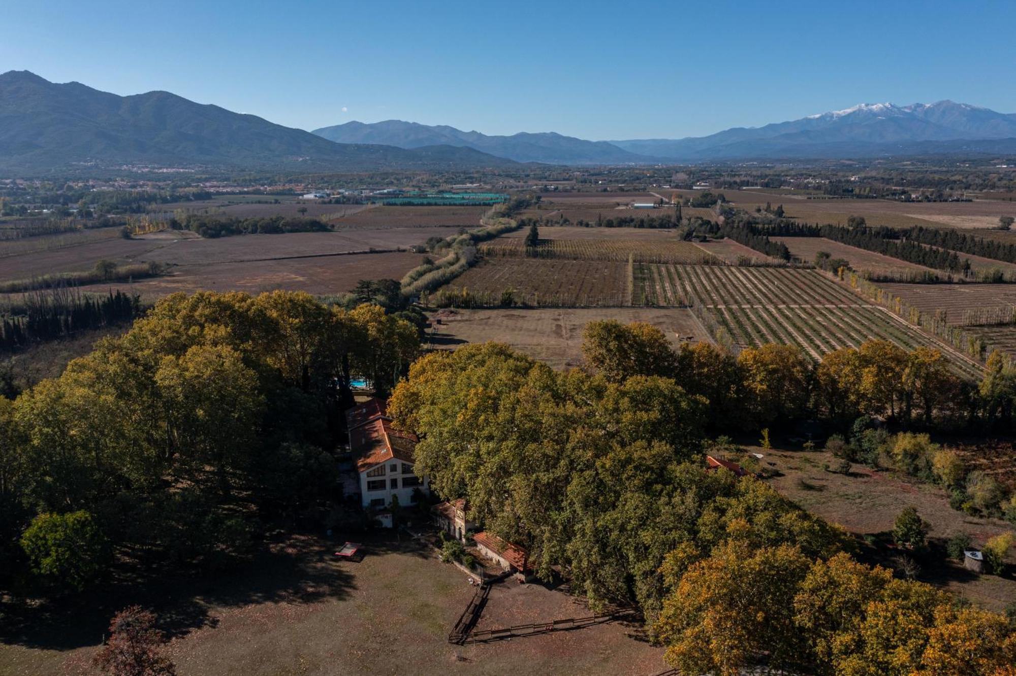 Domaine Castell De Bles Bed & Breakfast Saint-Genis-des-Fontaines Bagian luar foto