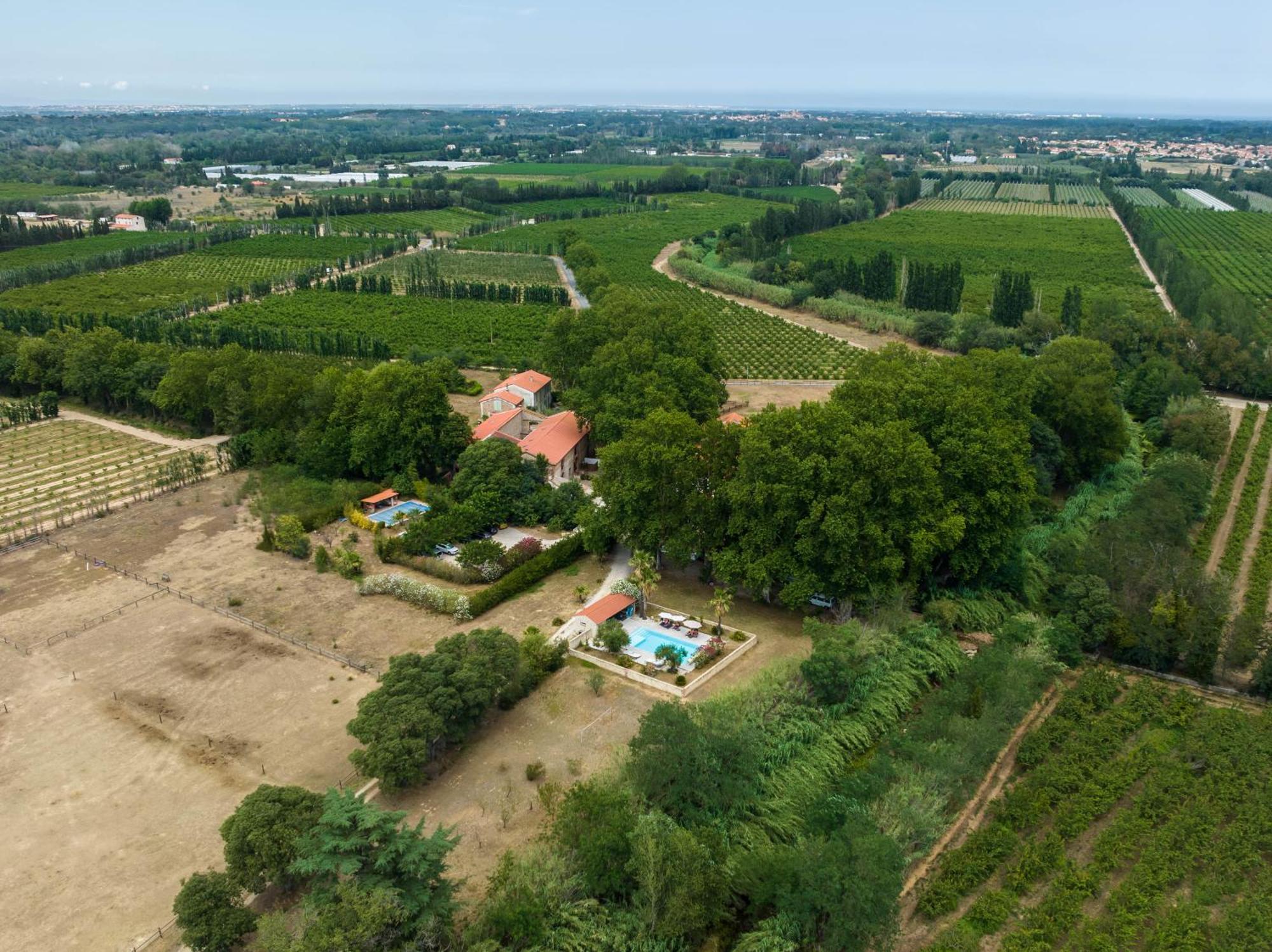 Domaine Castell De Bles Bed & Breakfast Saint-Genis-des-Fontaines Bagian luar foto