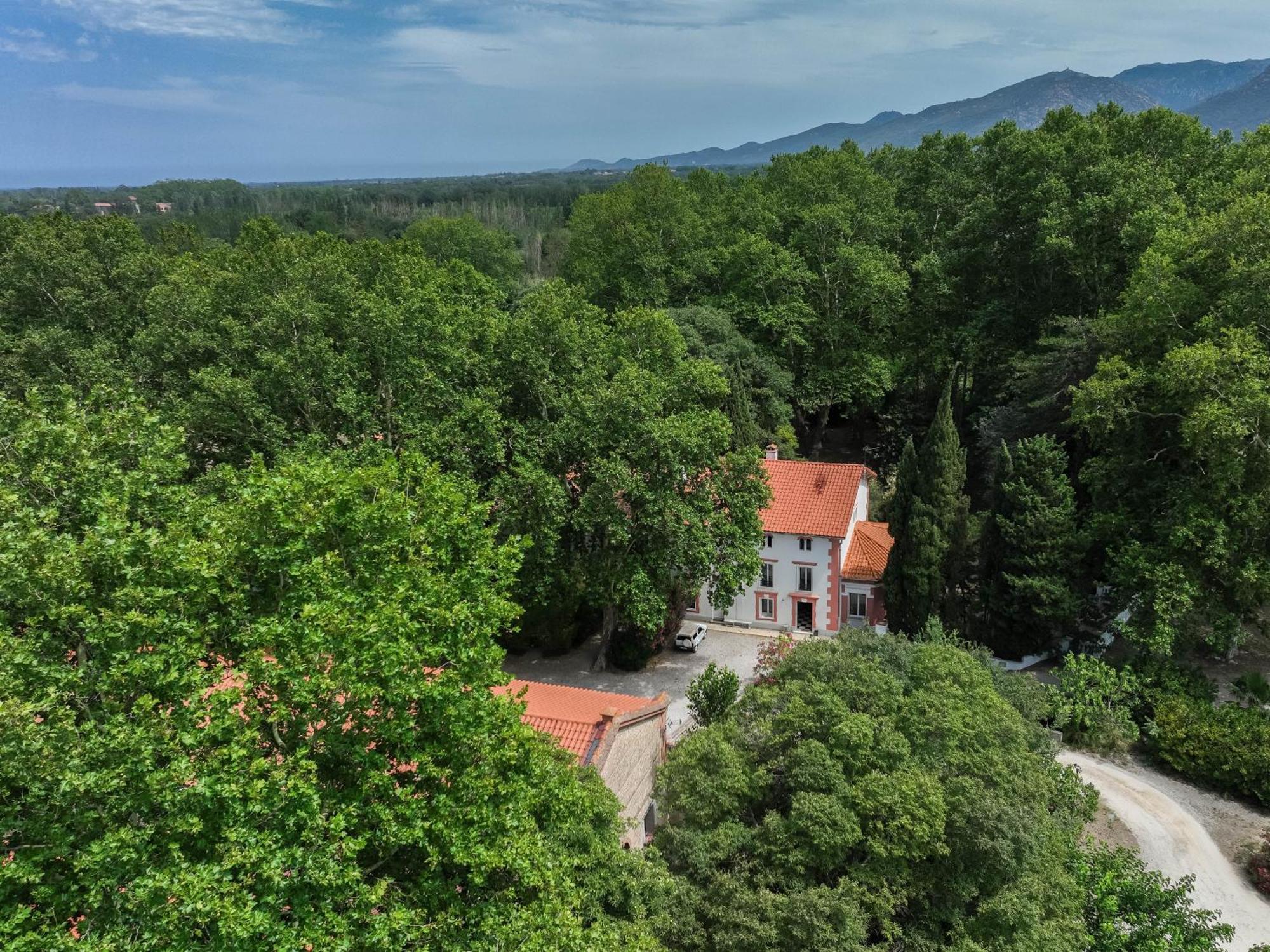 Domaine Castell De Bles Bed & Breakfast Saint-Genis-des-Fontaines Bagian luar foto